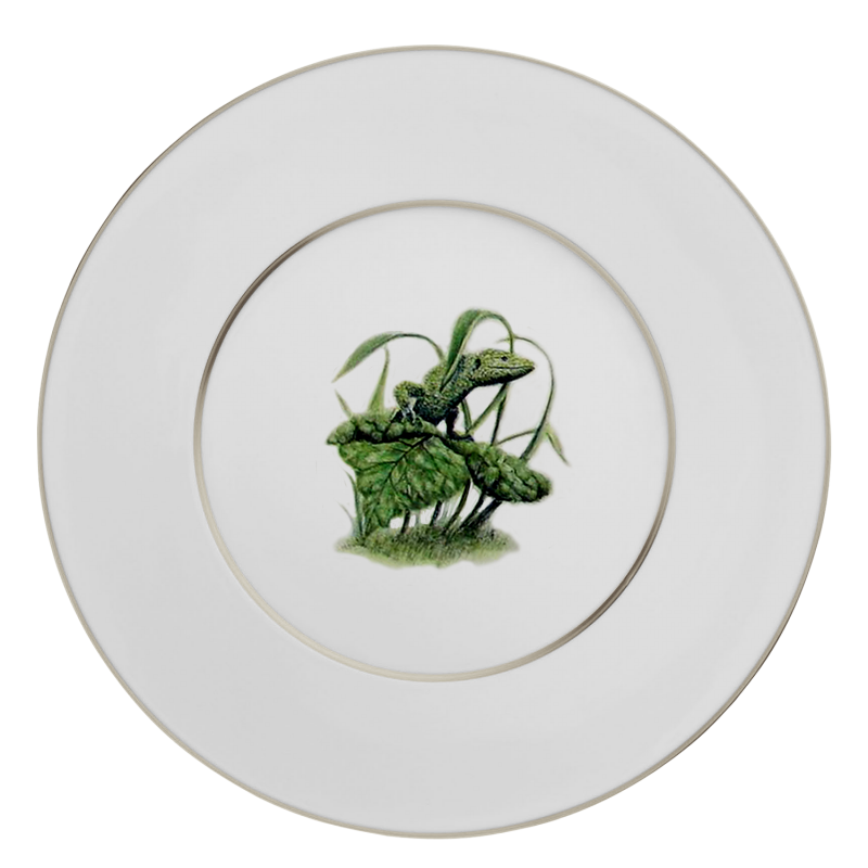 55.001 03.02 platin untere echse platzteller